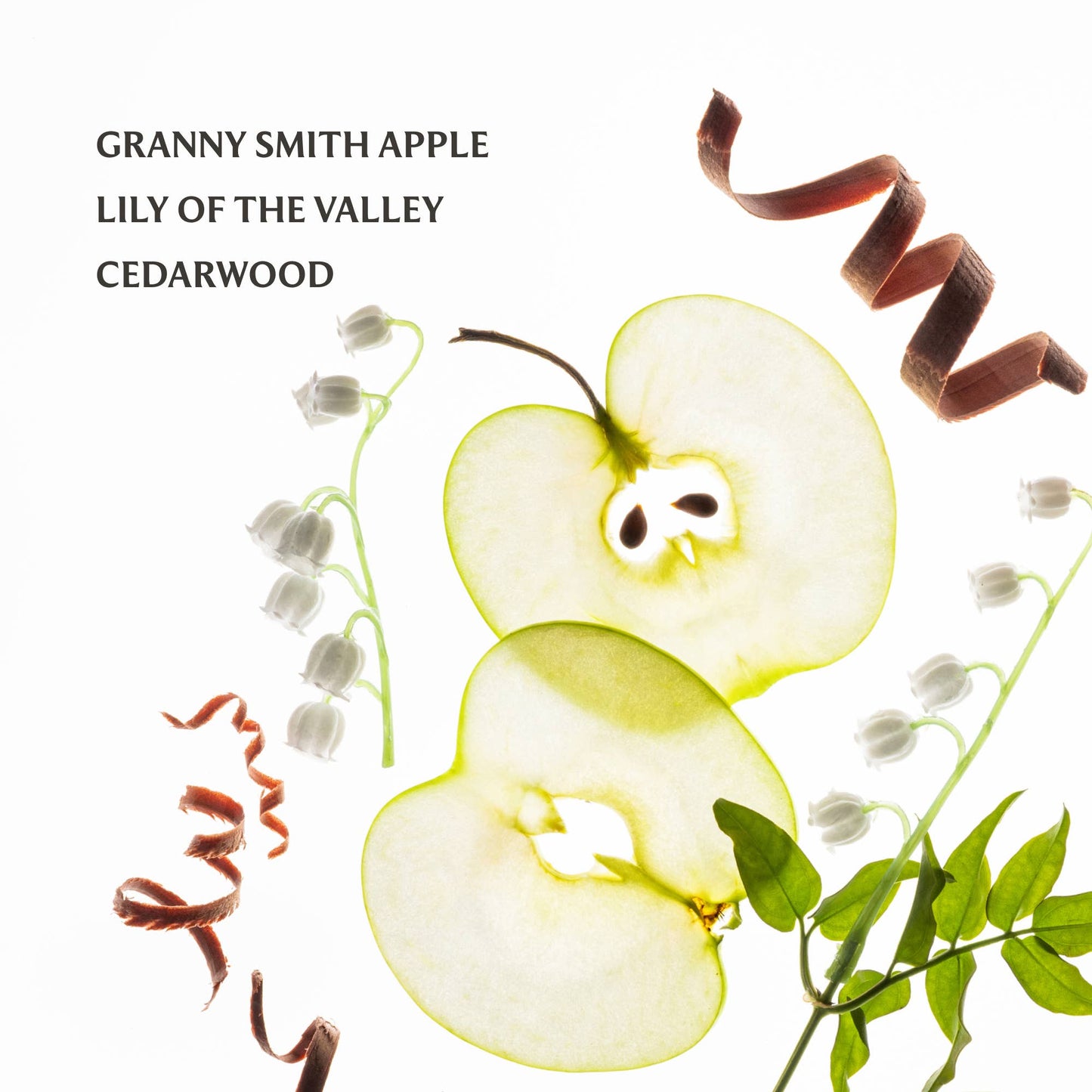 Applelicious Power Mist Hydrating Hand Sanitizer Touchland