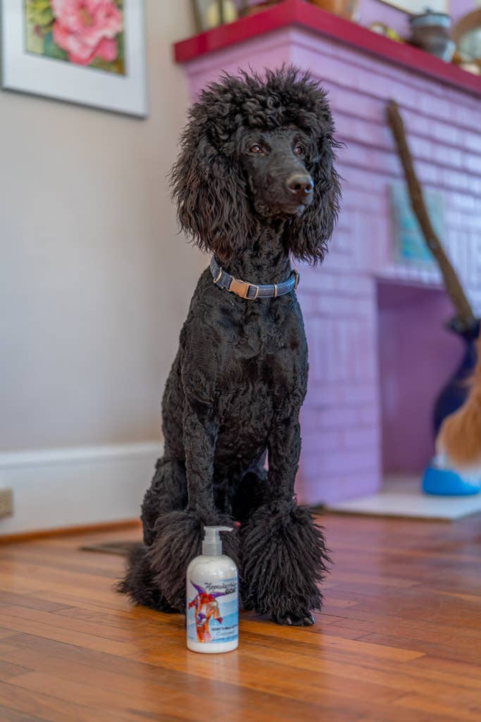 16oz Coconut Lime Verbena Goats Milk Lotion The Appalachian Goat