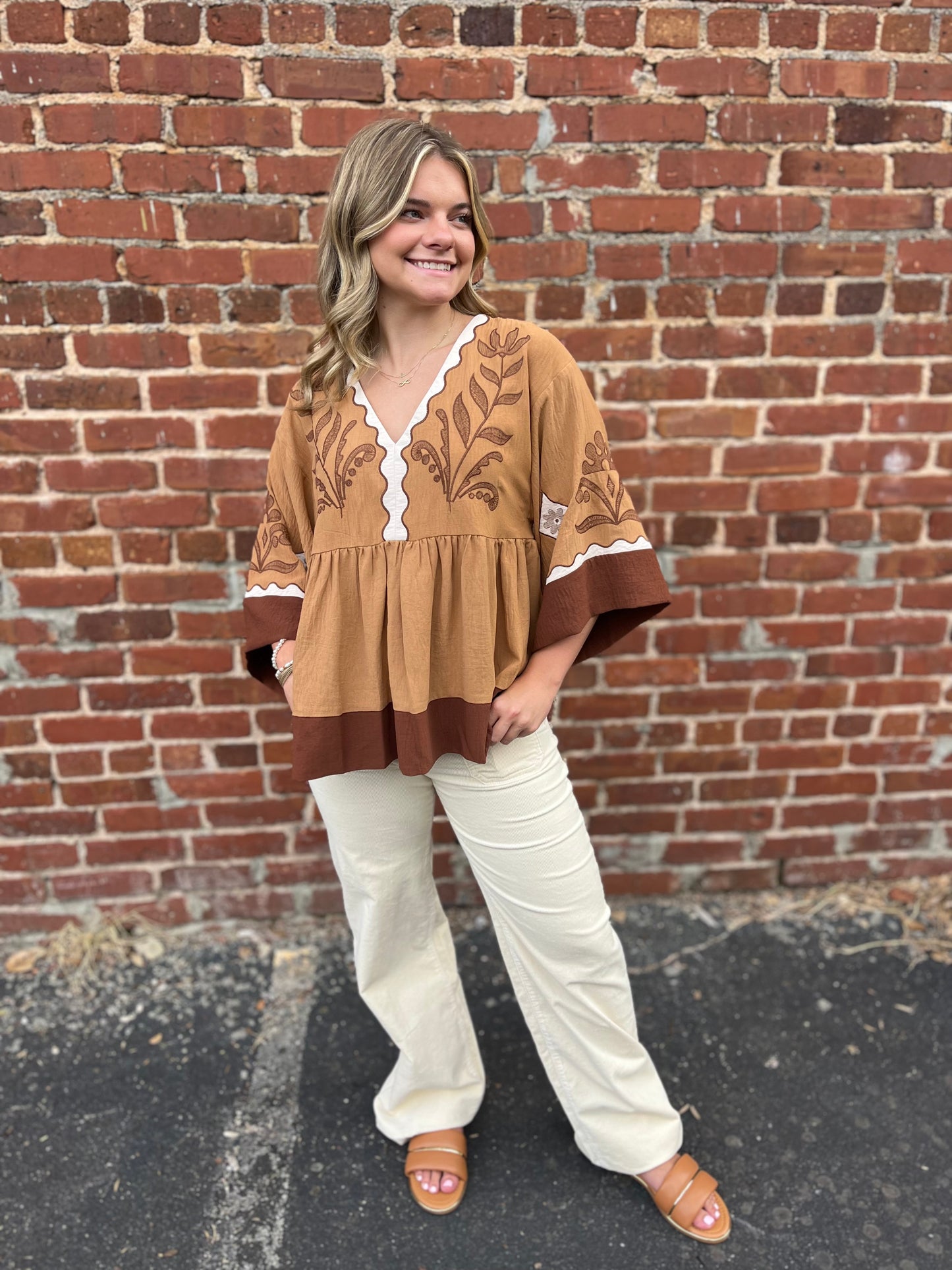 Embroidered Plunge V Neck Top