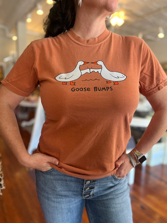 Goose Bumps Comfort Colors Graphic Tee – Yam