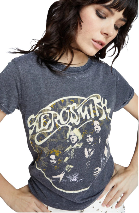 Aerosmith Back In The Saddle Burnout Tee