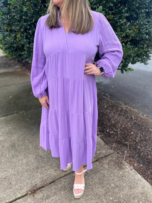 PLUS Umgee Lavender Gauze Long Sleeve Collar Maxi Dress