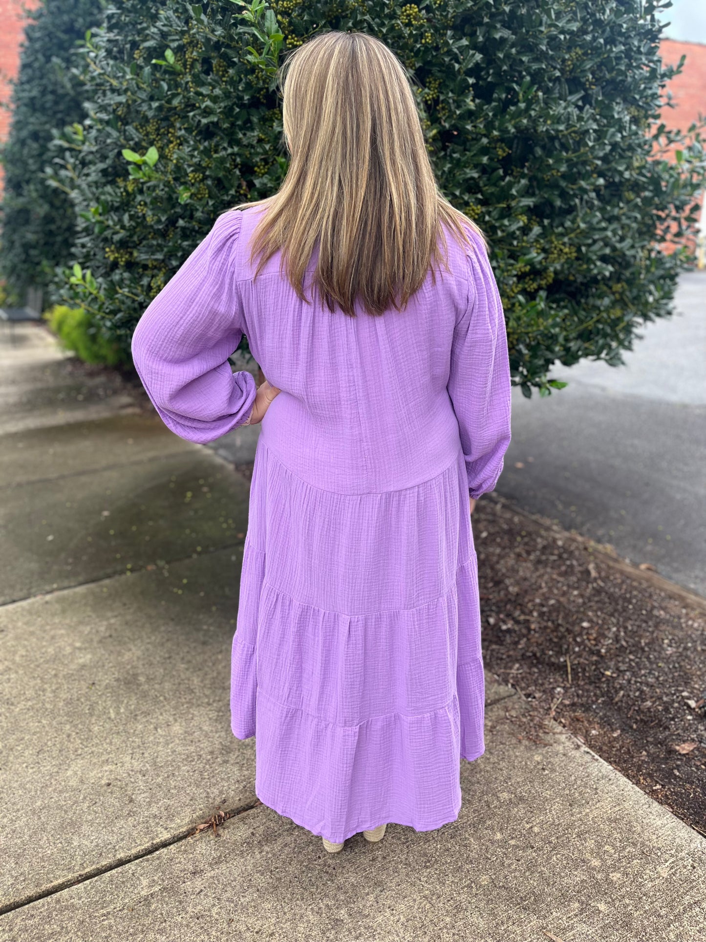 PLUS Umgee Lavender Gauze Long Sleeve Collar Maxi Dress