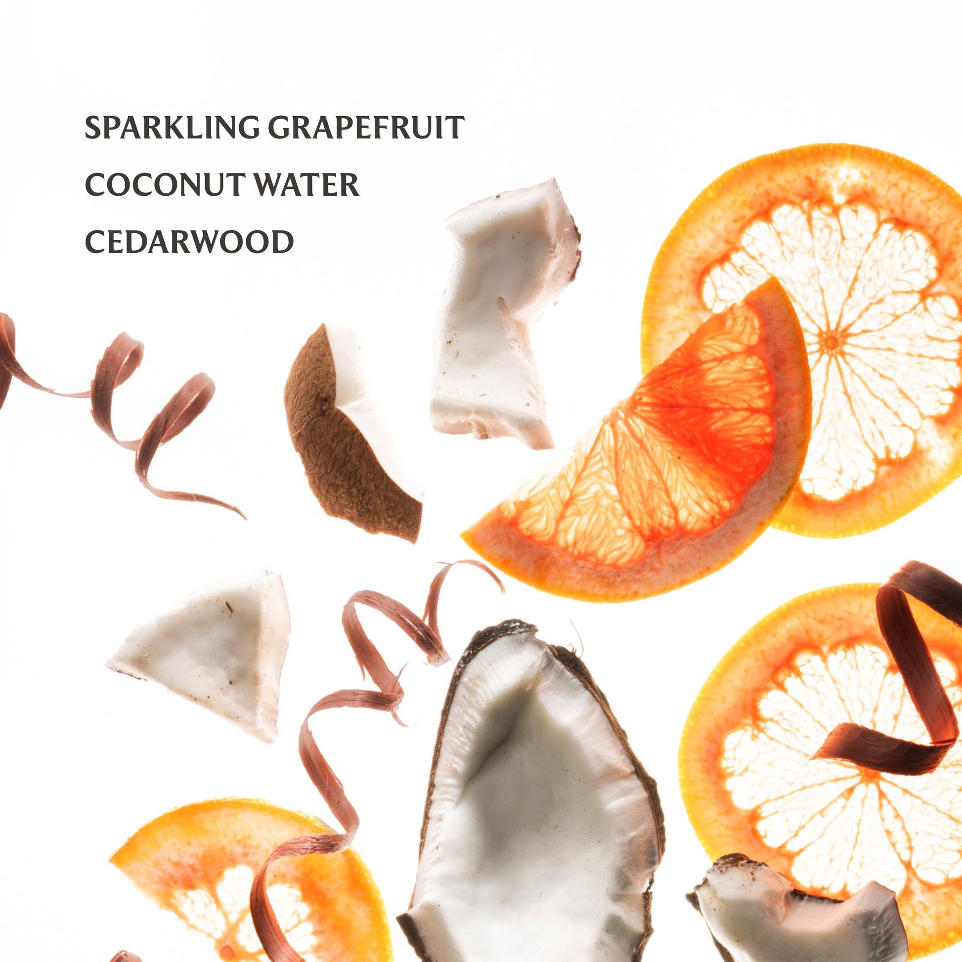 Beach Coco Power Mist Hydrating Hand Sanitizer Touchland