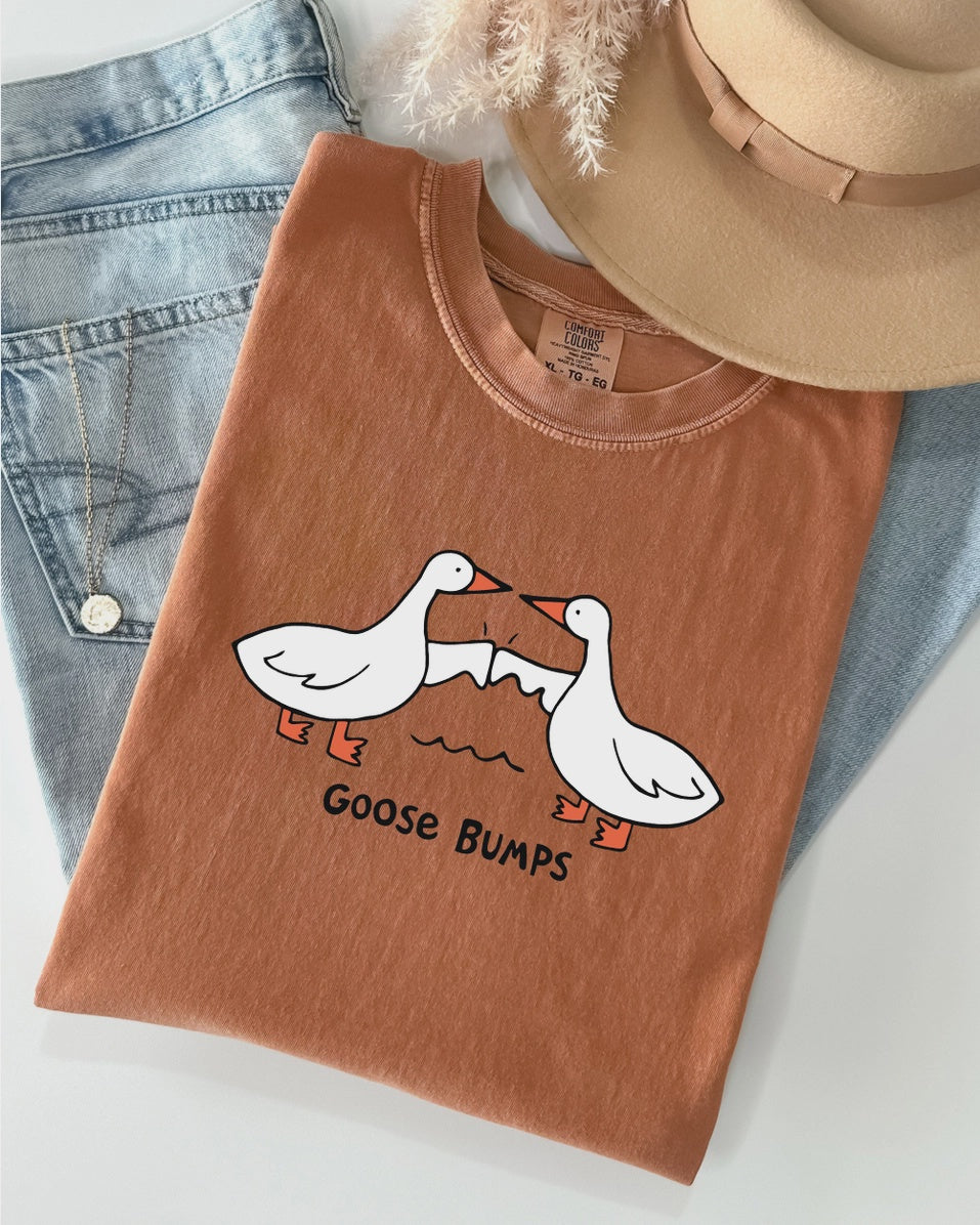 Goose Bumps Comfort Colors Graphic Tee – Yam