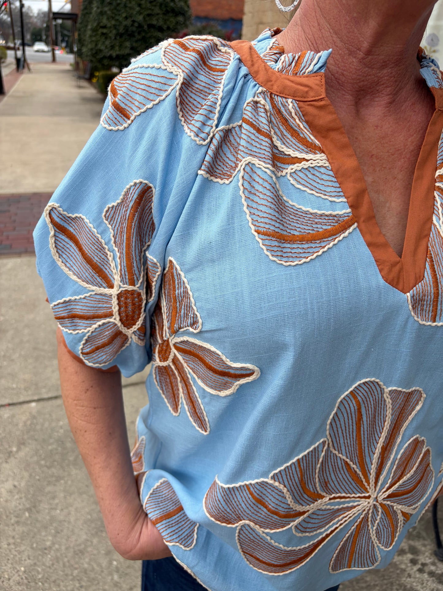 Umgee Blue & Brown Embroidered Linen V-Neck Top